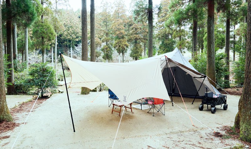 杉の森の中で贅沢なキャンプ体験を。